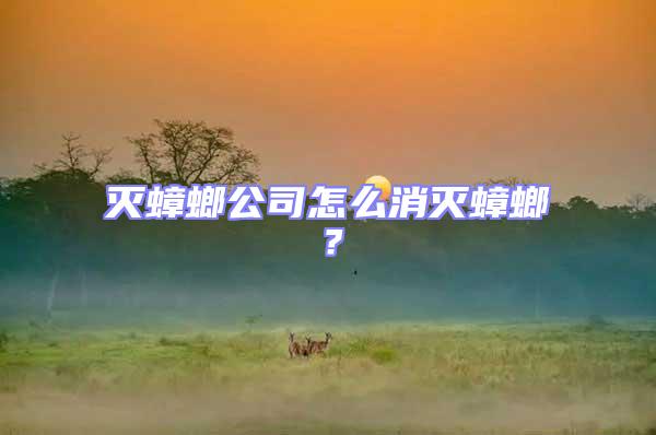 滅蟑螂公司怎么消滅蟑螂?