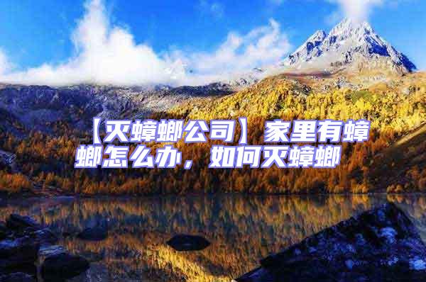 【滅蟑螂公司】家里有蟑螂怎么辦，如何滅蟑螂