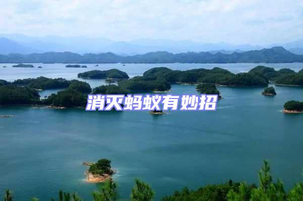 消滅螞蟻有妙招