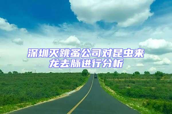深圳滅跳蚤公司對昆蟲來龍去脈進(jìn)行分析
