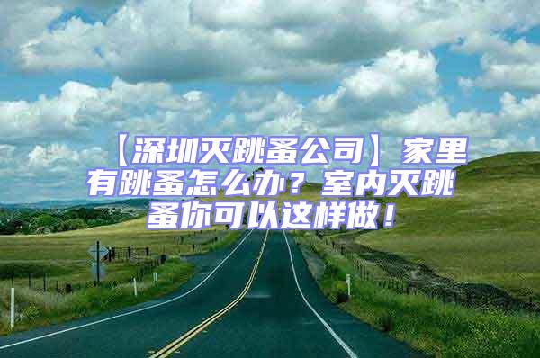 【深圳滅跳蚤公司】家里有跳蚤怎么辦？室內滅跳蚤你可以這樣做！