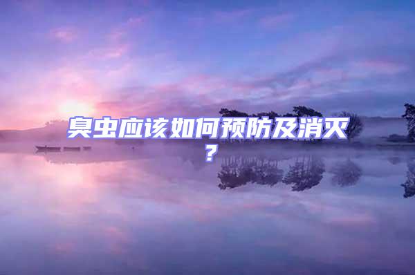 臭蟲應(yīng)該如何預(yù)防及消滅?