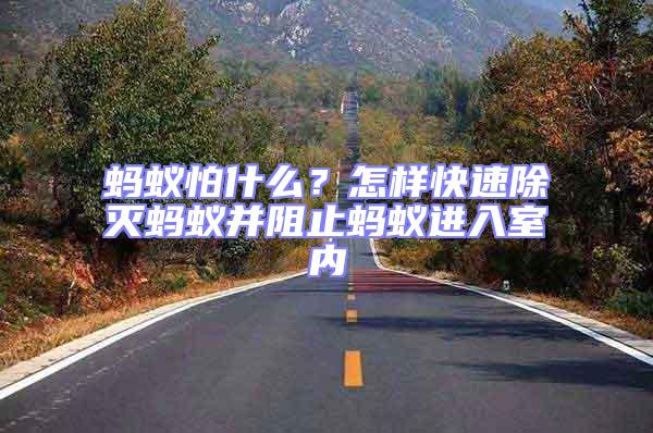 螞蟻怕什么？怎樣快速除滅螞蟻并阻止螞蟻進入室內