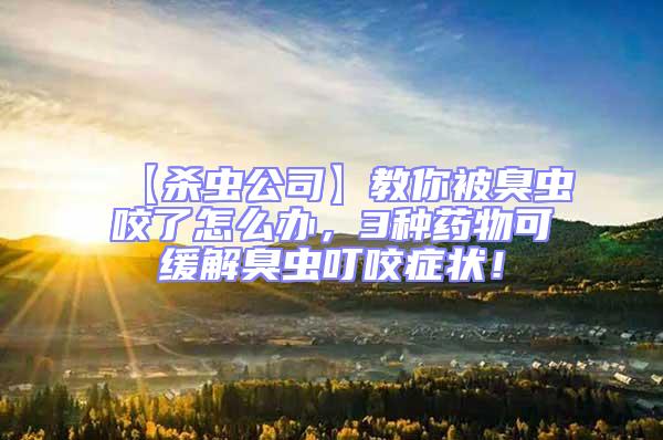 【殺蟲公司】教你被臭蟲咬了怎么辦,3種藥物可緩解臭蟲叮咬癥狀!