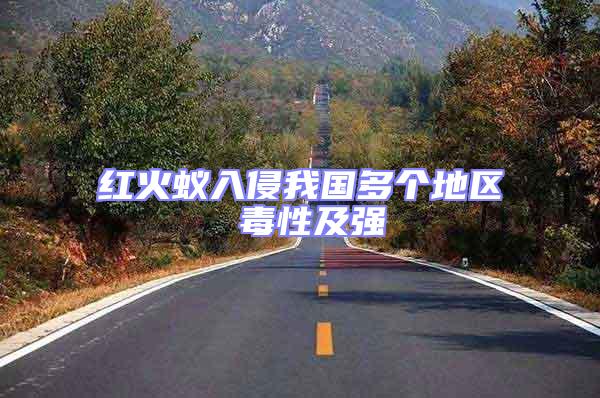 紅火蟻入侵我國多個地區(qū) 毒性及強(qiáng)