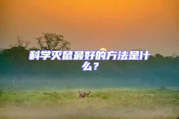 科學(xué)滅鼠最好的方法是什么?