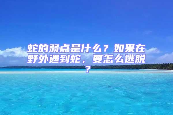 蛇的弱點(diǎn)是什么？如果在野外遇到蛇，要怎么逃脫？