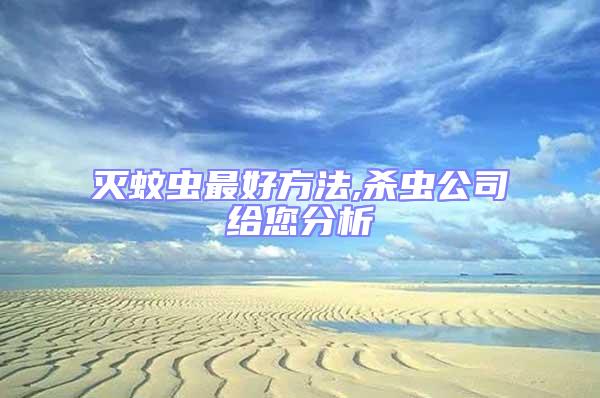 滅蚊蟲(chóng)最好方法,殺蟲(chóng)公司給您分析