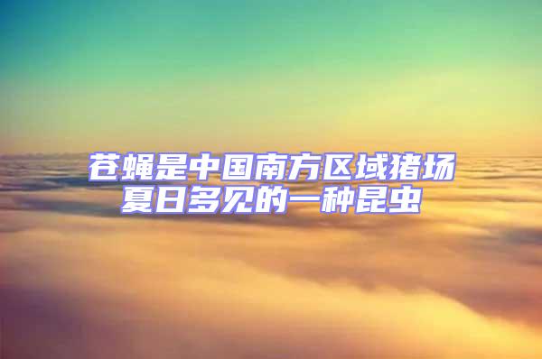 蒼蠅是中國南方區域豬場夏日多見的一種昆蟲