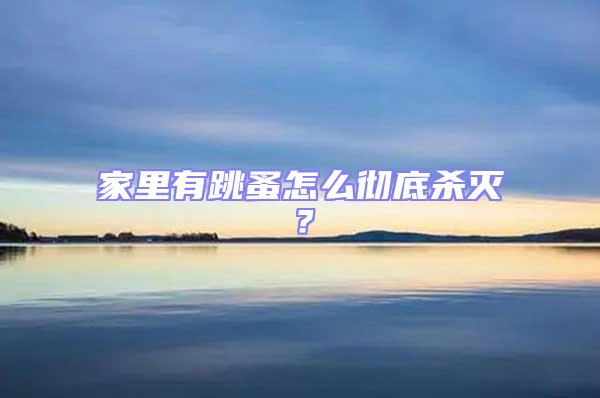 家里有跳蚤怎么徹底殺滅？