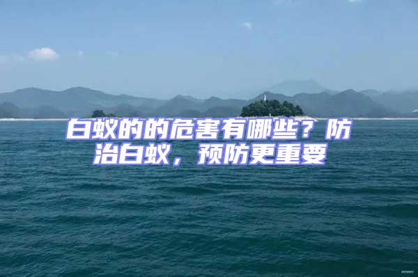 白蟻的的危害有哪些？防治白蟻，預防更重要