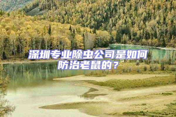 深圳專業(yè)除蟲公司是如何防治老鼠的？