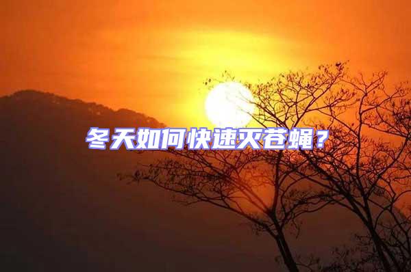 冬天如何快速滅蒼蠅？