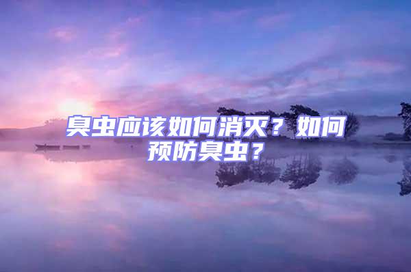 臭蟲應(yīng)該如何消滅？如何預(yù)防臭蟲？