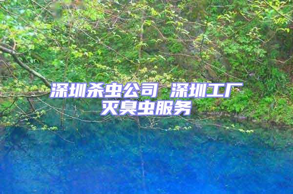 深圳殺蟲公司 深圳工廠滅臭蟲服務