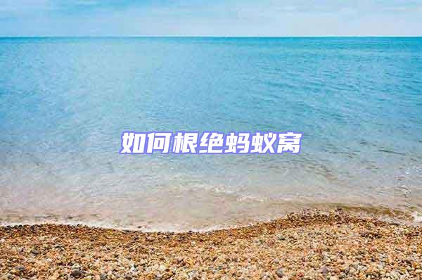 如何根絕螞蟻窩