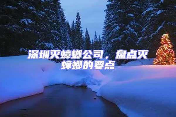 深圳滅蟑螂公司，盤點(diǎn)滅蟑螂的要點(diǎn)