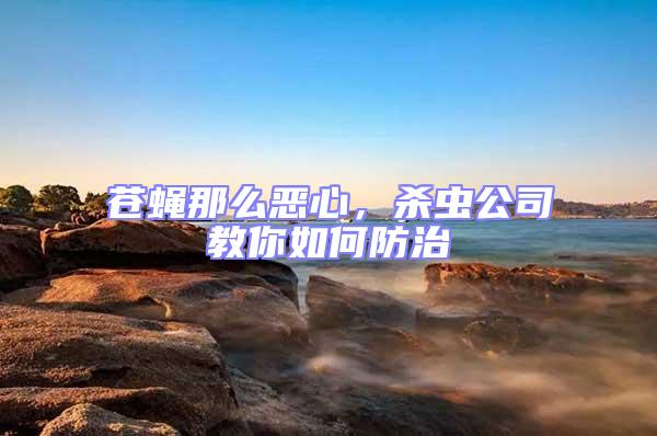 蒼蠅那么惡心，殺蟲公司教你如何防治