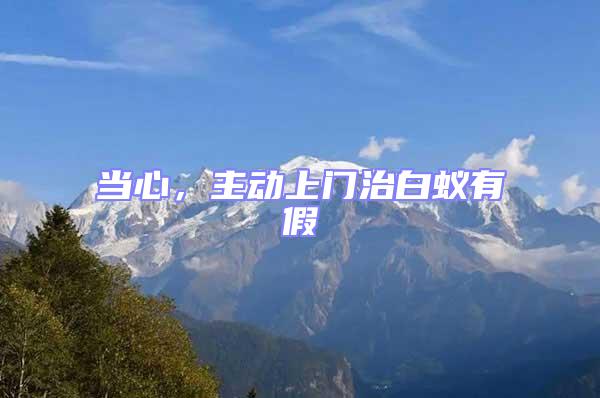 當心，主動上門治白蟻有假