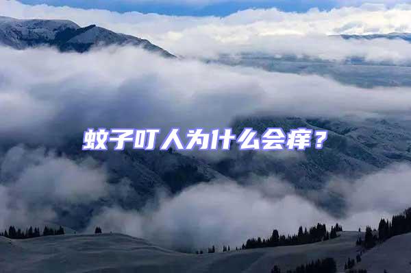 蚊子叮人為什么會癢？