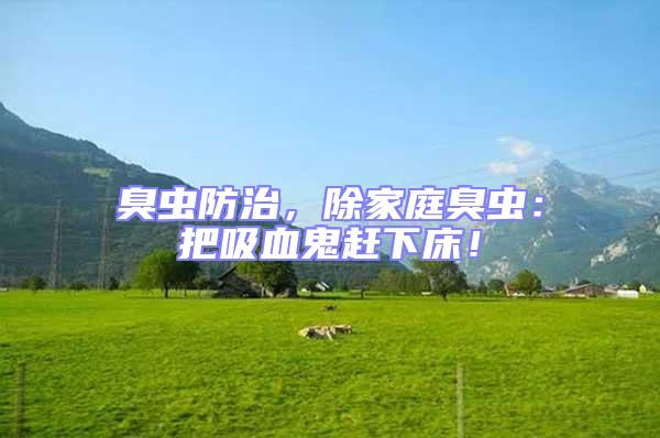 臭蟲防治,除家庭臭蟲:把吸血鬼趕下床!