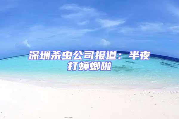 深圳殺蟲公司報(bào)道:半夜打蟑螂啦