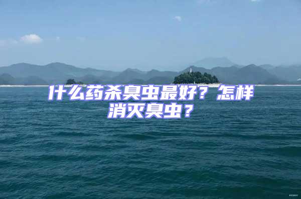 什么藥殺臭蟲最好？怎樣消滅臭蟲？