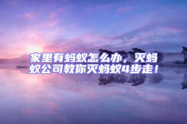 家里有螞蟻怎么辦,滅螞蟻公司教你滅螞蟻4步走!