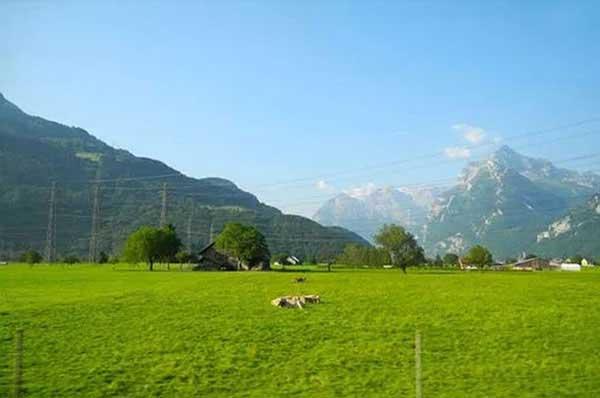 滅蚊蠅公司為大家介紹的相關(guān)于深圳有哪些種類的螞蟻