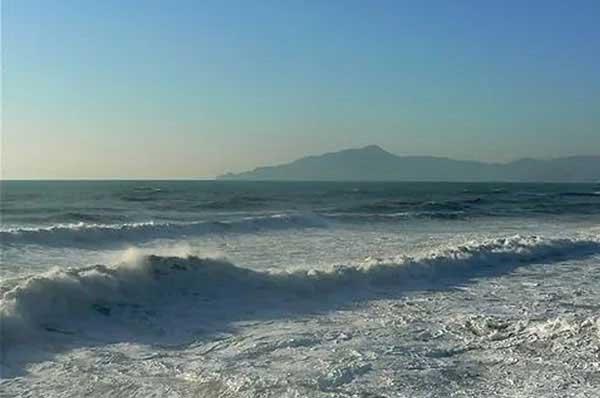 老鼠怕什么東西？怕什么味道和聲音？