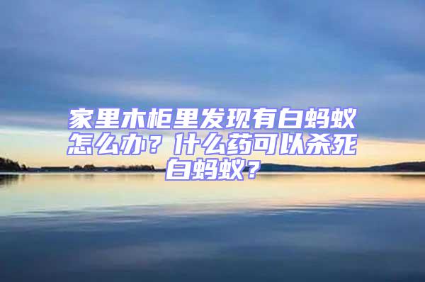 家里木柜里發現有白螞蟻怎么辦?什么藥可以殺死白螞蟻?