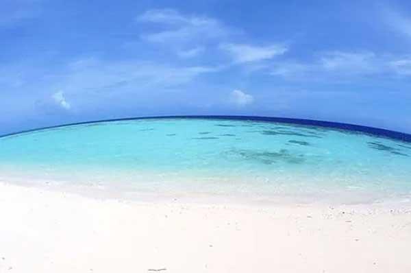 選擇滅蚊子產品的注意事項有哪些