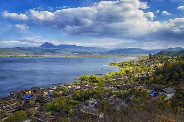 深圳滅螞蟻公司提示如何正確防治螞蟻？