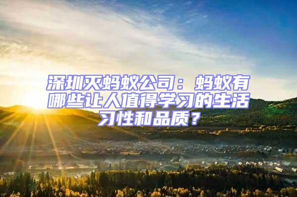 深圳滅螞蟻公司:螞蟻有哪些讓人值得學(xué)習(xí)的生活習(xí)性和品質(zhì)?