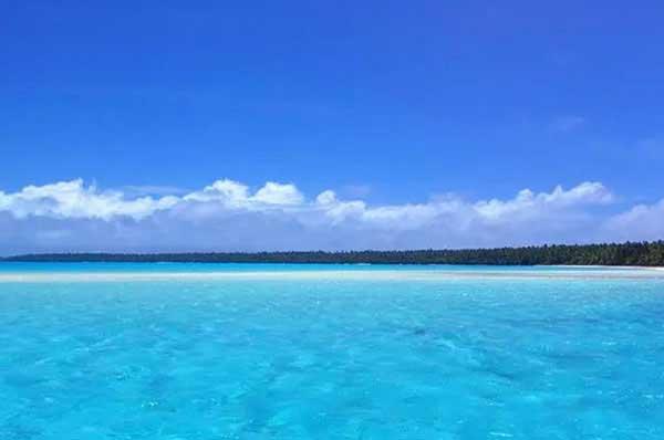 臭蟲危害多，如何消滅臭蟲？