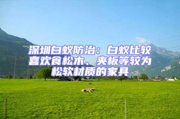 深圳白蟻防治:白蟻比較喜歡食松木、夾板等較為松軟材質的家具