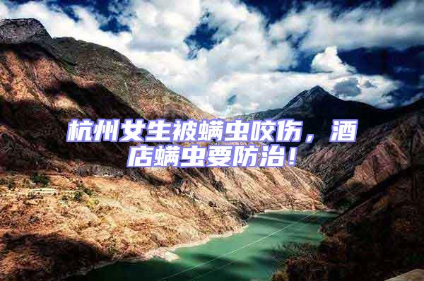 杭州女生被螨蟲咬傷，酒店螨蟲要防治！