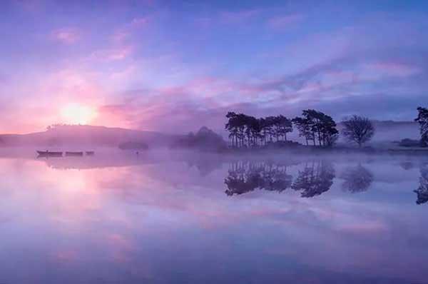 蚊類的化學防治方法是什么？