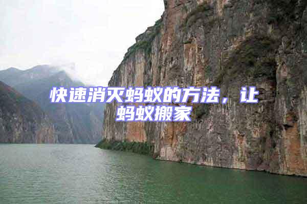 快速消滅螞蟻的方法,讓螞蟻搬家