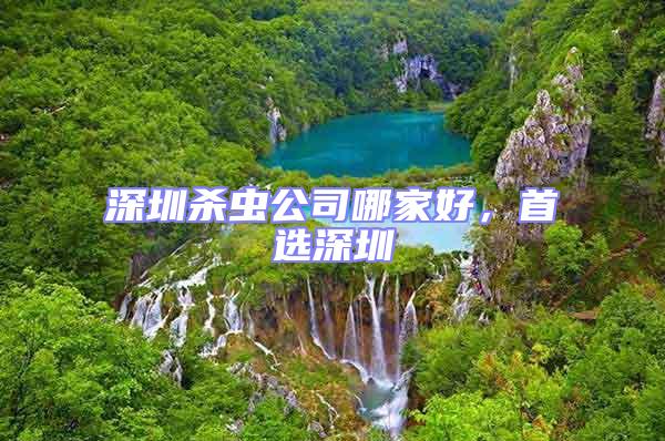 深圳殺蟲公司哪家好,首選深圳