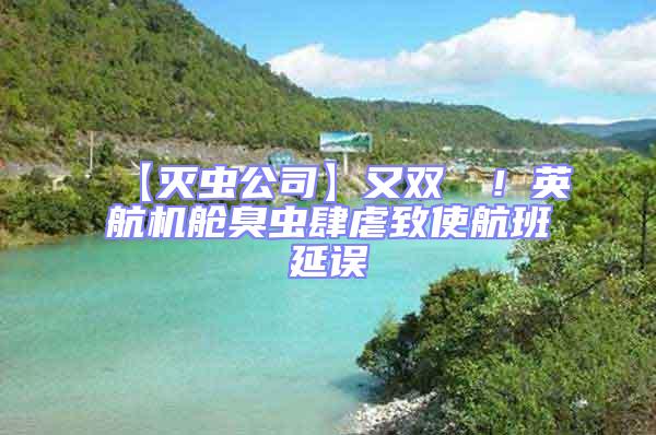 【滅蟲公司】又雙叒叕!英航機(jī)艙臭蟲肆虐致使航班延誤