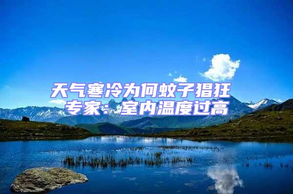 天氣寒冷為何蚊子猖狂 專家：室內溫度過高