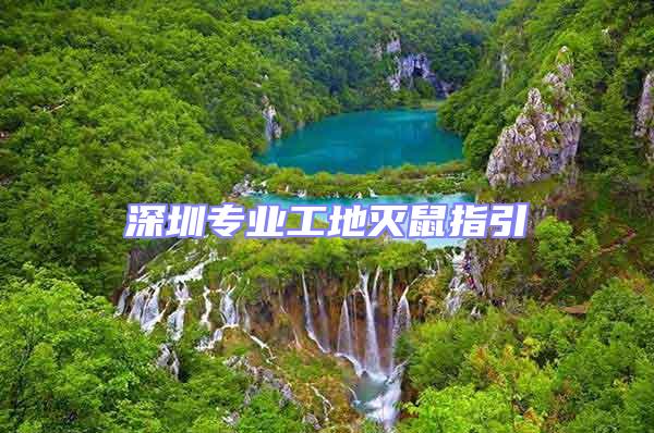 深圳專業(yè)工地滅鼠指引