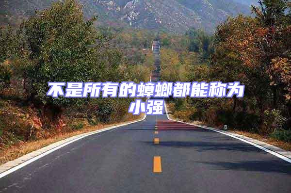 不是所有的蟑螂都能稱為小強(qiáng)