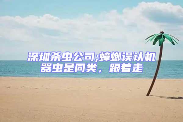 深圳殺蟲公司;蟑螂誤認機器蟲是同類，跟著走