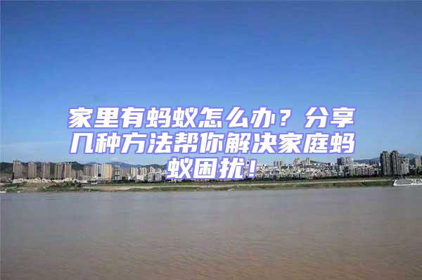 家里有螞蟻怎么辦?分享幾種方法幫你解決家庭螞蟻困擾!