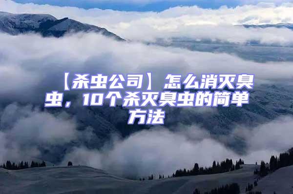 【殺蟲公司】怎么消滅臭蟲，10個殺滅臭蟲的簡單方法