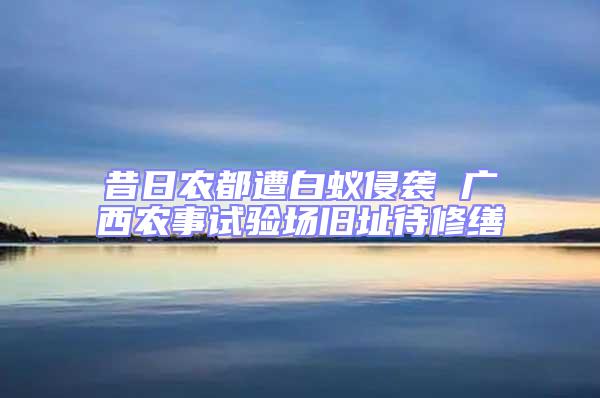 昔日農(nóng)都遭白蟻侵襲 廣西農(nóng)事試驗場舊址待修繕