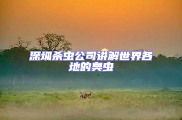 深圳殺蟲公司講解世界各地的臭蟲