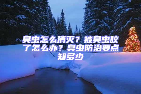 臭蟲怎么消滅？被臭蟲咬了怎么辦？臭蟲防治要點知多少